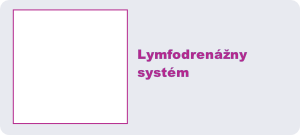 Lymfodrenážny
systém